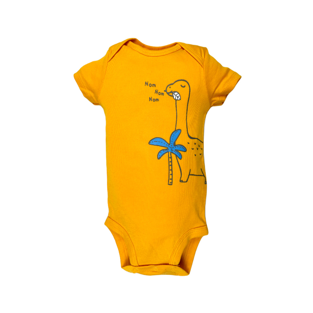 Shop Cute Baby Bodysuits Online | Lullaby Threads